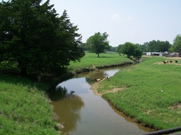 Everman